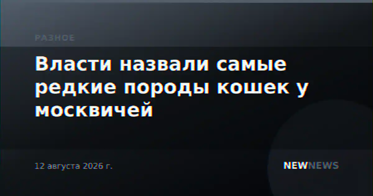Власти назвали самые редкие породы кошек у москвичей
