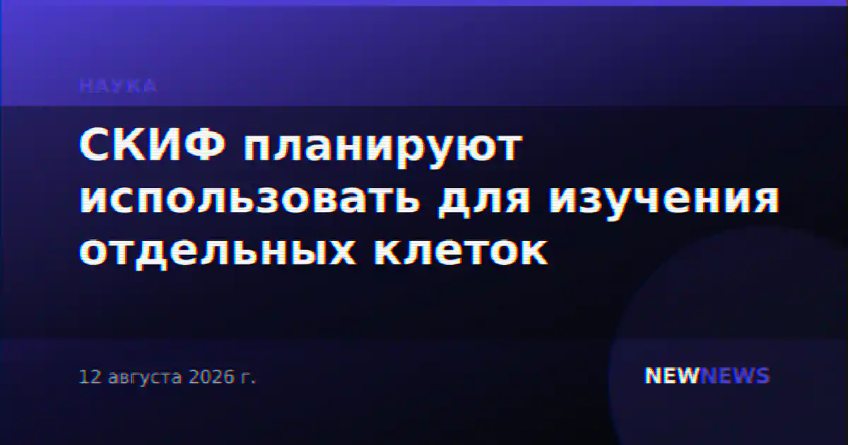 СКИФ планируют использовать для изучения отдельных клеток