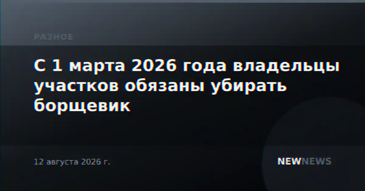 С 1 марта 2026 года владельцы участков обязаны убирать борщевик