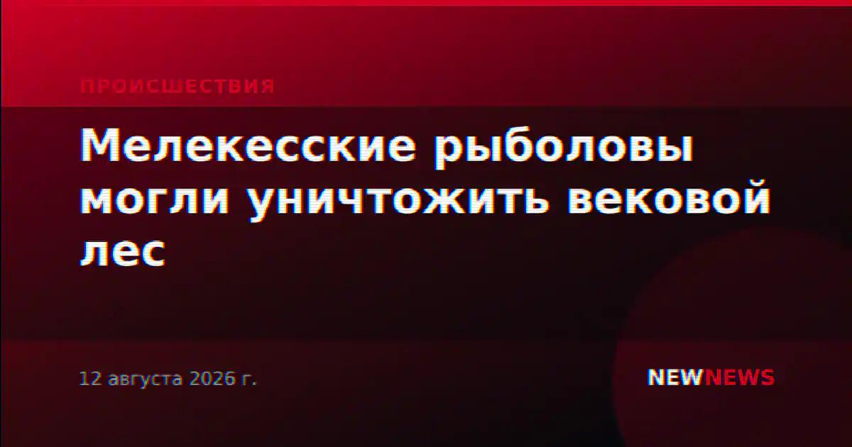 Мелекесские рыболовы могли уничтожить вековой лес