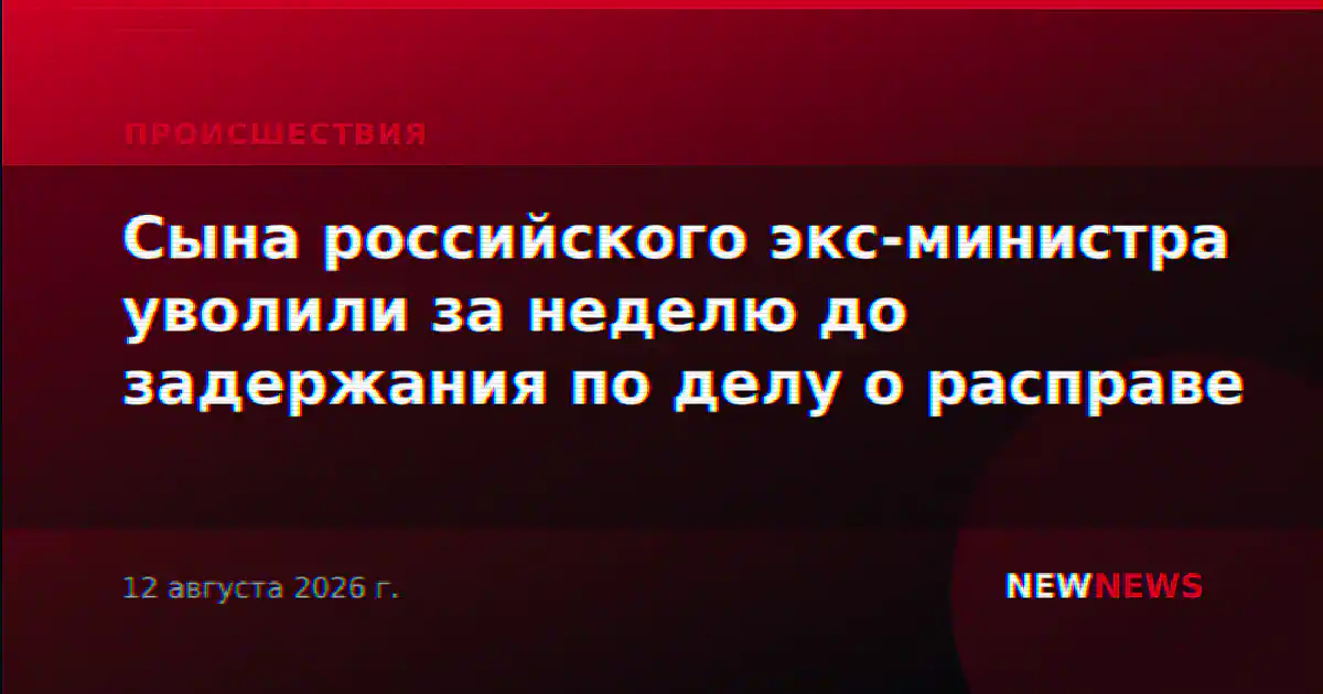 Сына российского экс-министра уволили за неделю до задержания по делу о расправе
