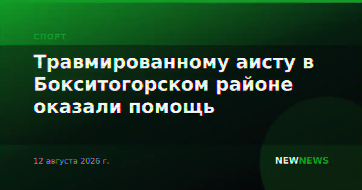 Травмированному аисту в Бокситогорском районе оказали помощь