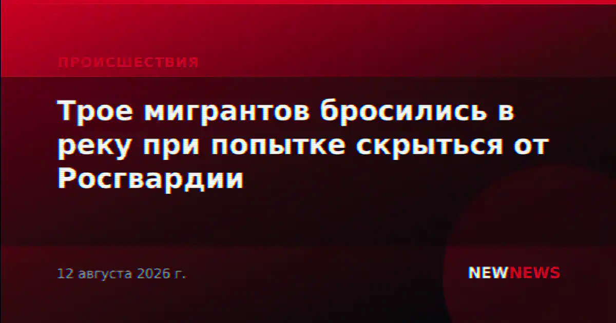 Трое мигрантов бросились в реку при попытке скрыться от Росгвардии