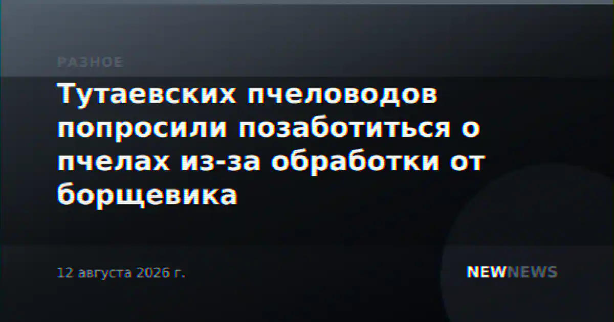 Тутаевских пчеловодов попросили позаботиться о пчелах из-за обработки от борщевика