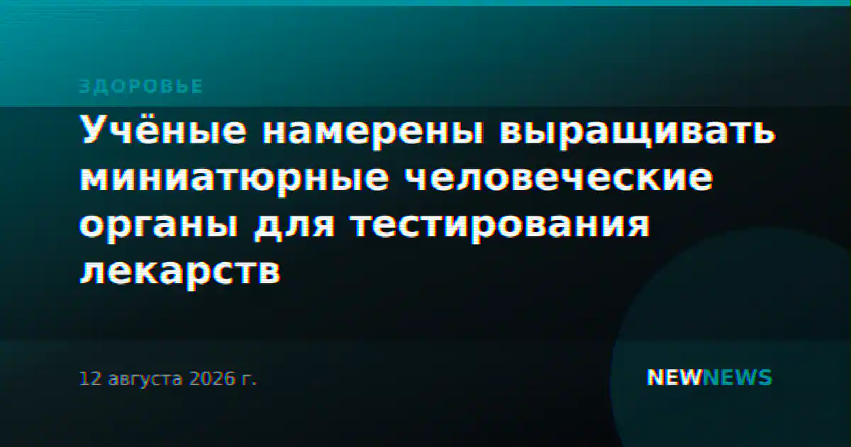 Учёные намерены выращивать миниатюрные человеческие органы для тестирования лекарств