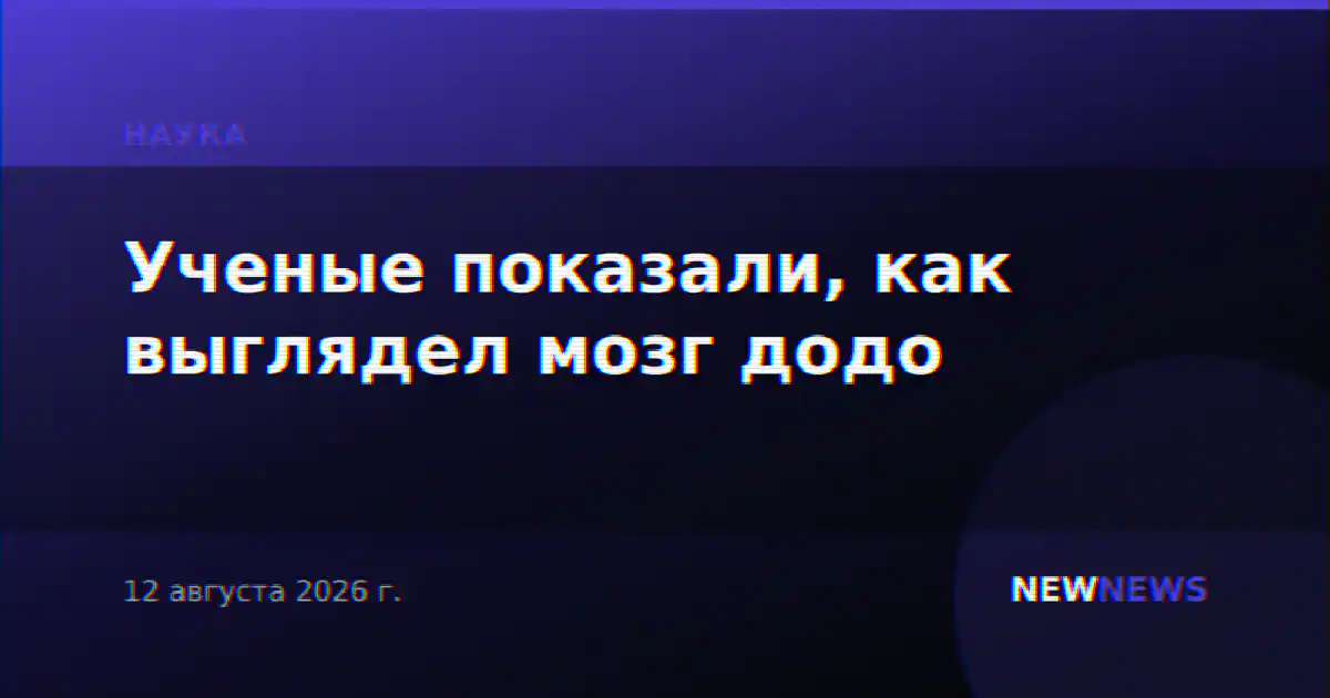 Ученые показали, как выглядел мозг додо