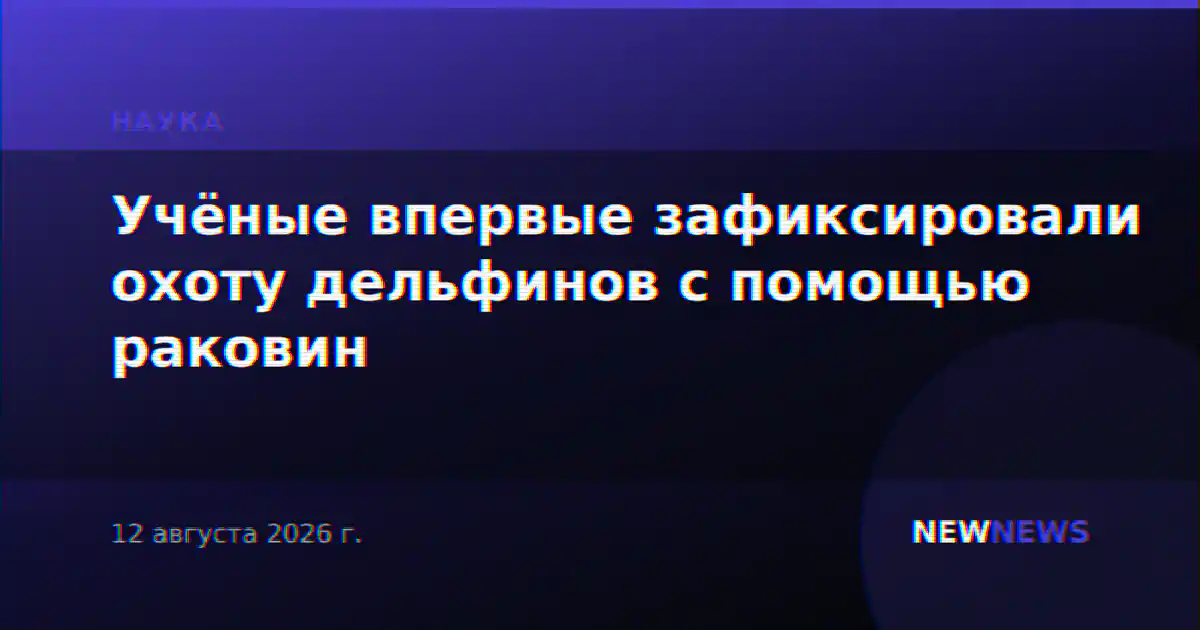 Учёные впервые зафиксировали охоту дельфинов с помощью раковин
