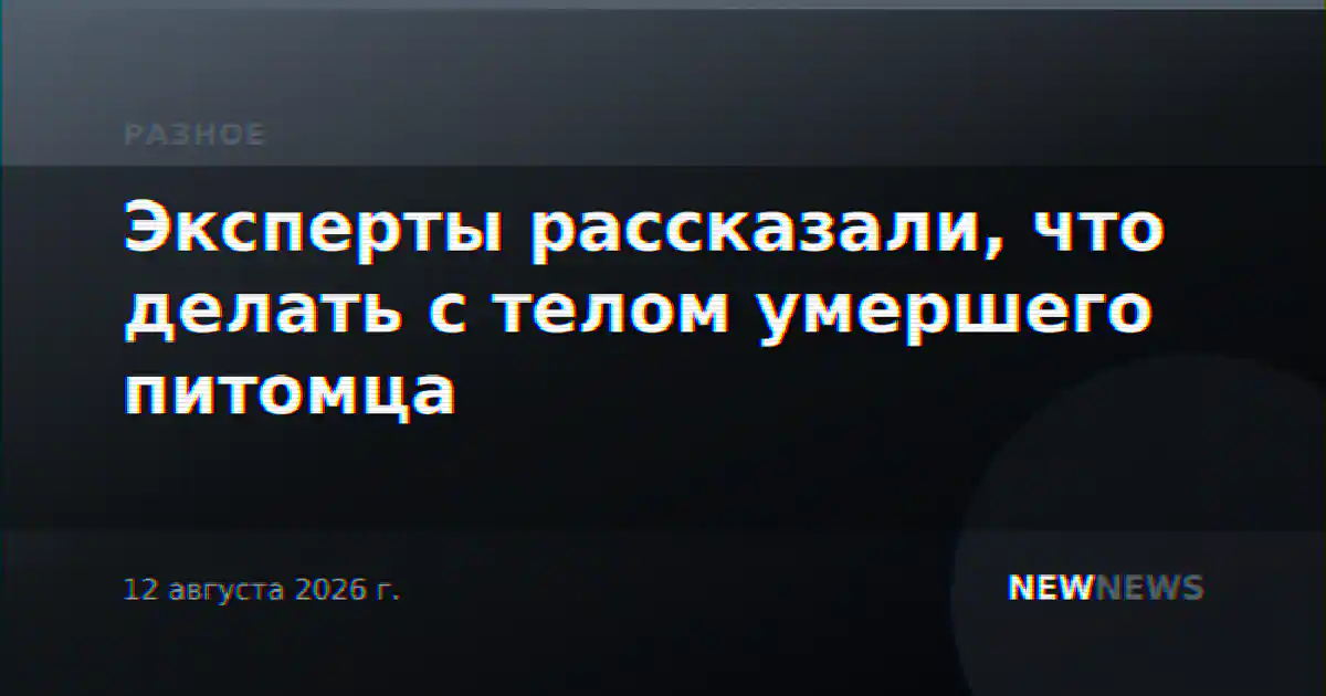 Эксперты рассказали, что делать с телом умершего питомца
