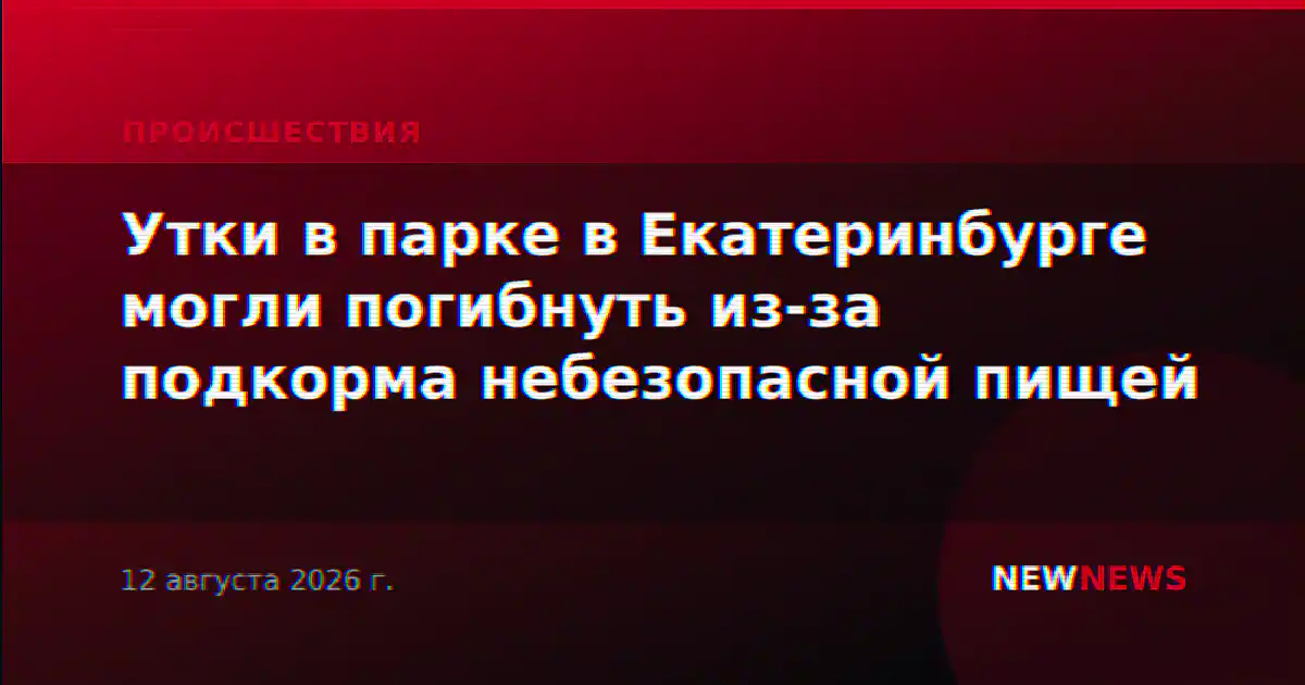 Утки в парке в Екатеринбурге могли погибнуть из-за подкорма небезопасной пищей