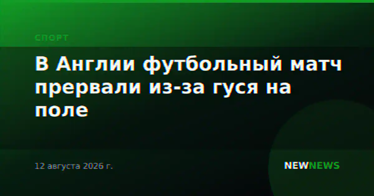 В Англии футбольный матч прервали из-за гуся на поле