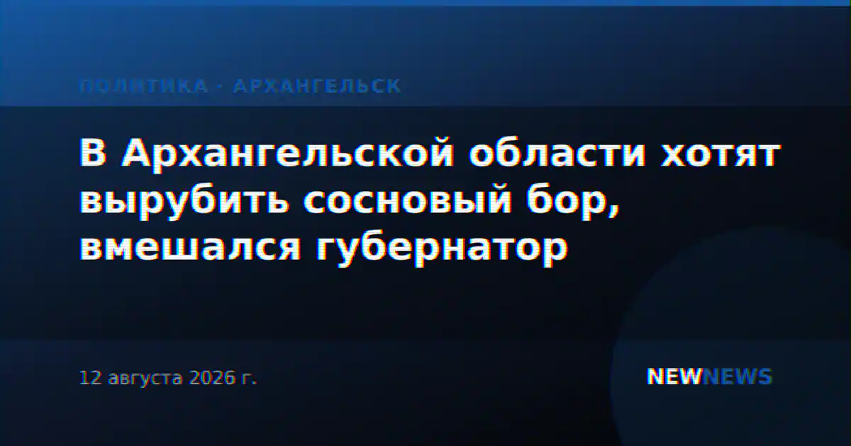 В Архангельской области хотят вырубить сосновый бор, вмешался губернатор