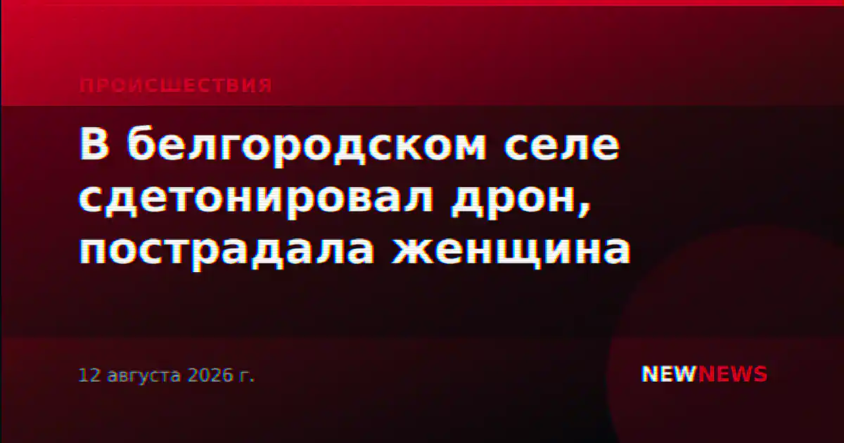 В белгородском селе сдетонировал дрон, пострадала женщина