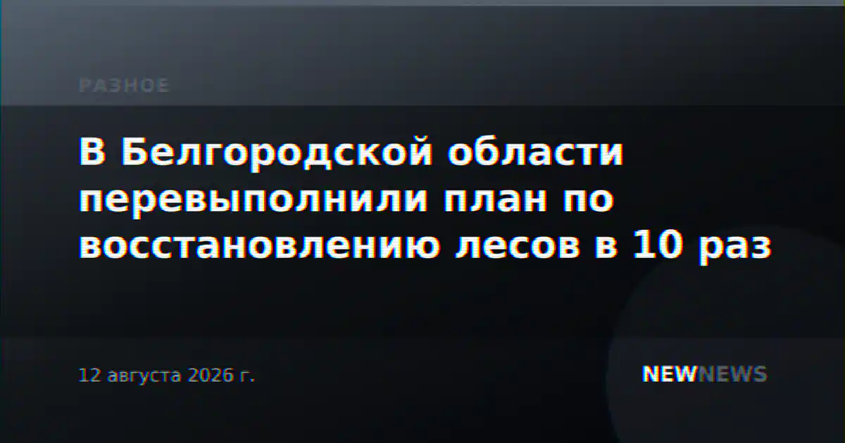 В Белгородской области перевыполнили план по восстановлению лесов в 10 раз