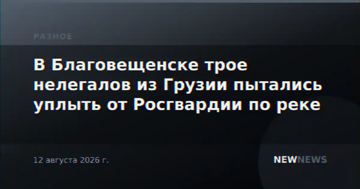В Благовещенске трое нелегалов из Грузии пытались уплыть от Росгвардии по реке