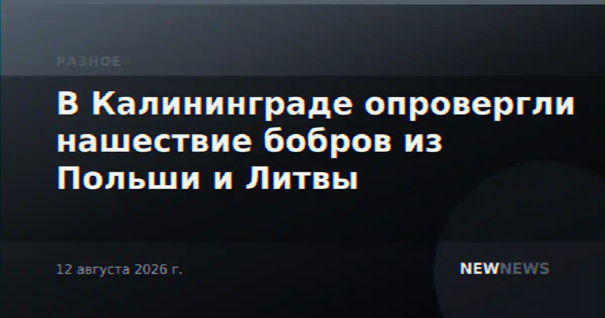 В Калининграде опровергли нашествие бобров из Польши и Литвы