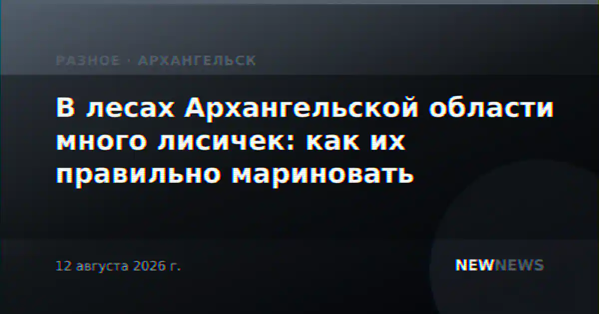 В лесах Архангельской области много лисичек: как их правильно мариновать
