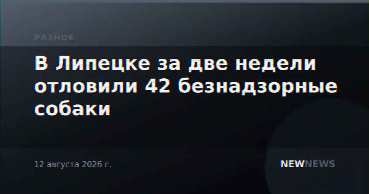 В Липецке за две недели отловили 42 безнадзорные собаки