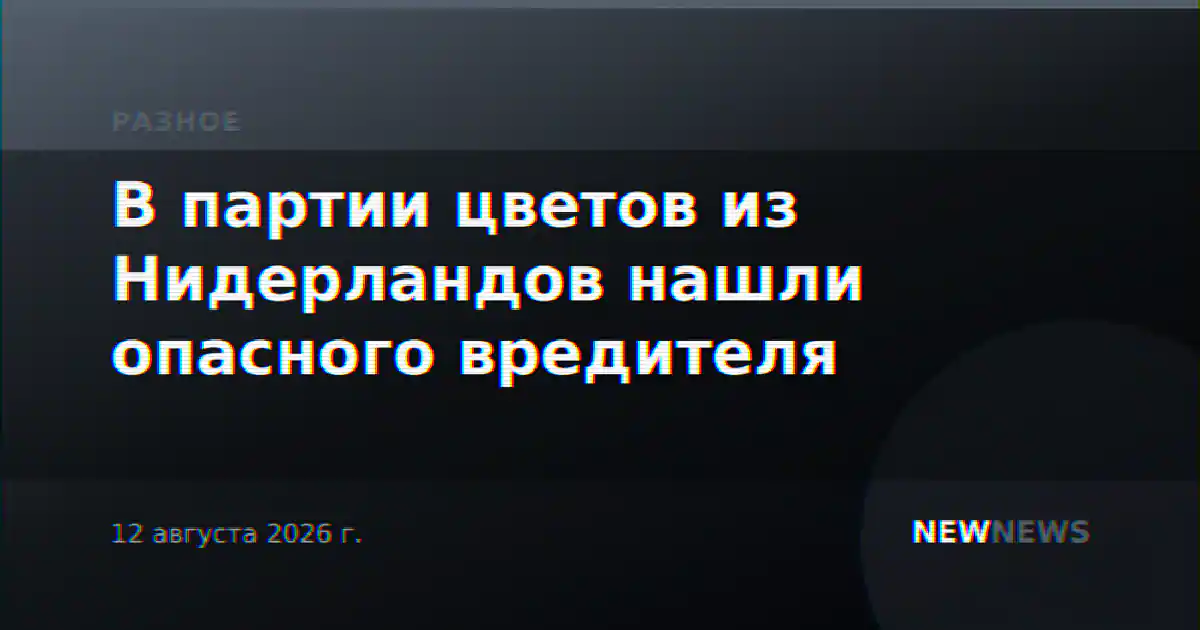 В партии цветов из Нидерландов нашли опасного вредителя