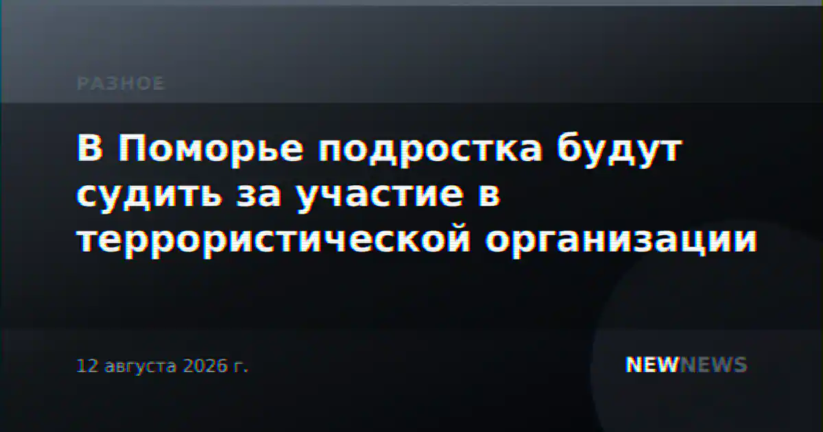 В Поморье подростка будут судить за участие в террористической организации