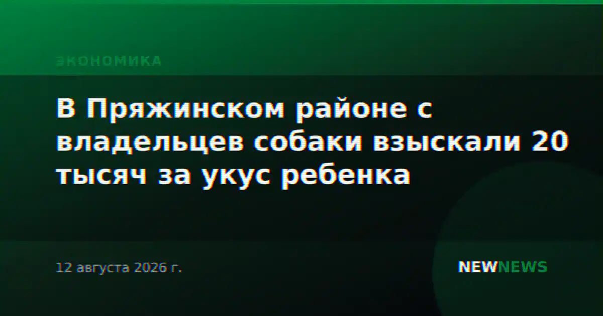 В Пряжинском районе с владельцев собаки взыскали 20 тысяч за укус ребенка