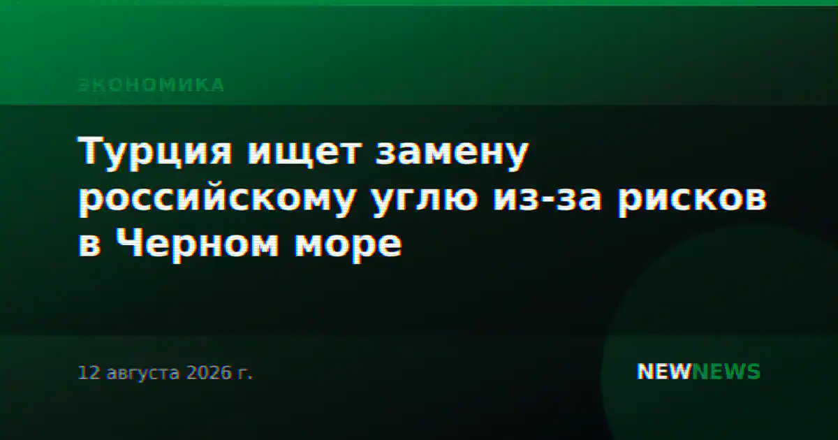 Турция ищет замену российскому углю из-за рисков в Черном море