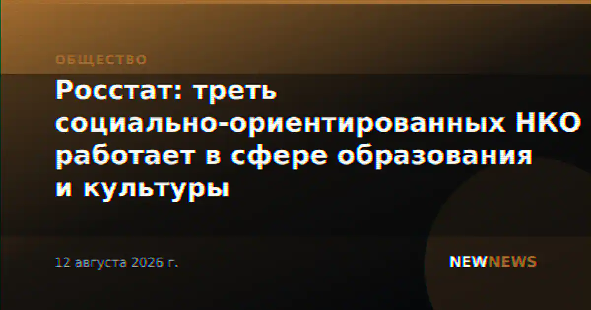 Росстат: треть социально-ориентированных НКО работает в сфере образования и культуры