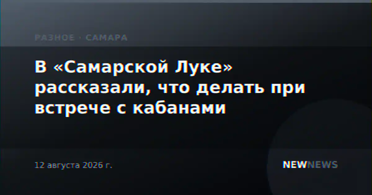 В «Самарской Луке» рассказали, что делать при встрече с кабанами