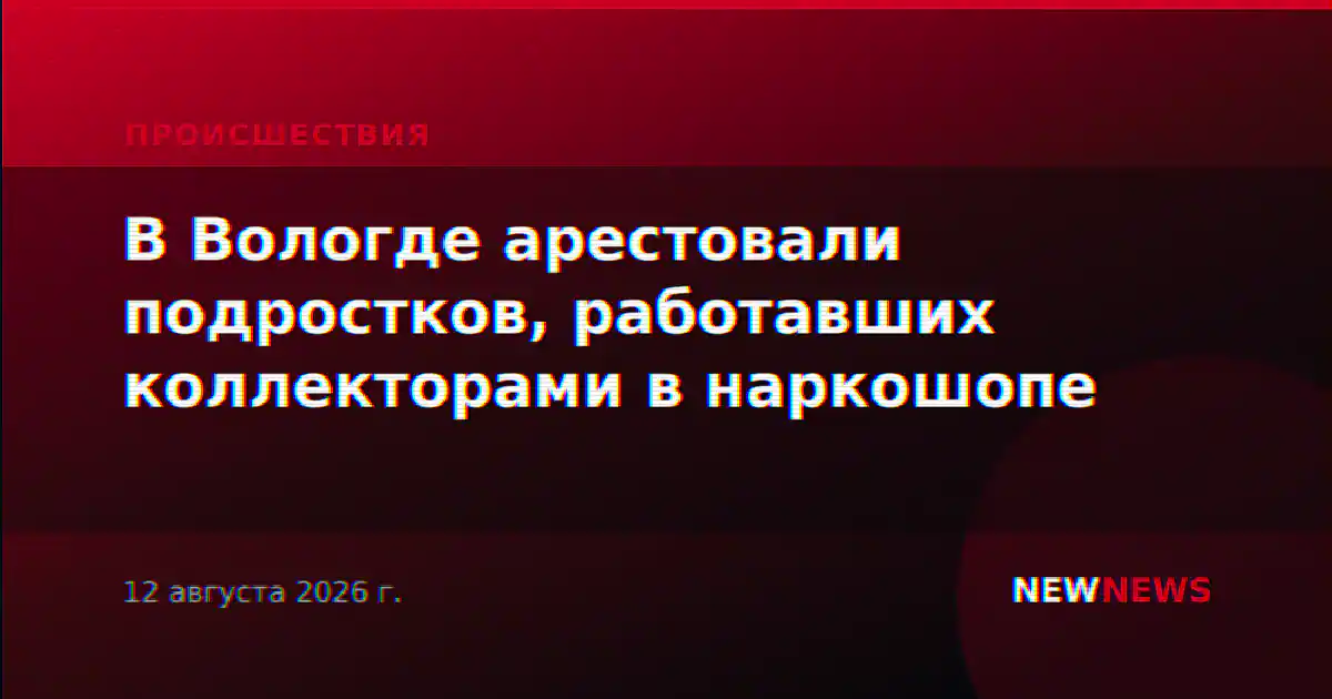 В Вологде арестовали подростков, работавших коллекторами в наркошопе