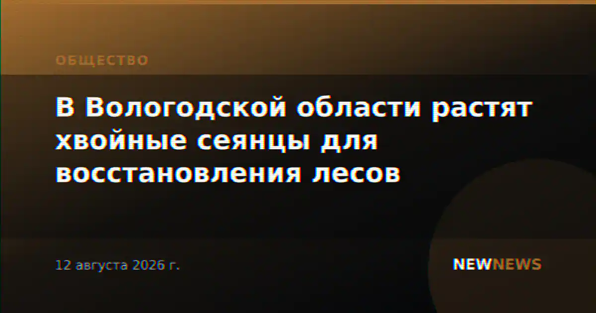В Вологодской области растят хвойные сеянцы для восстановления лесов