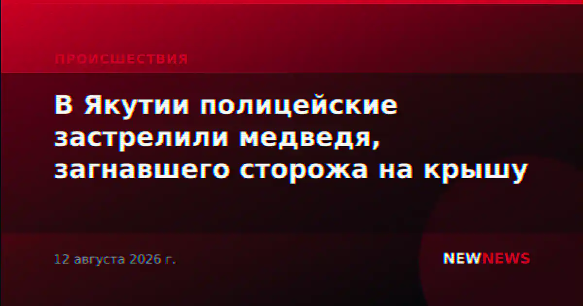 В Якутии полицейские застрелили медведя, загнавшего сторожа на крышу