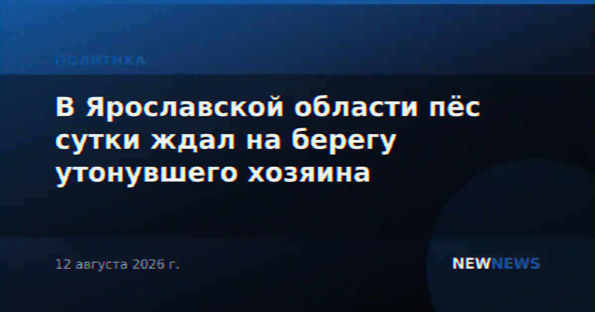 В Ярославской области пёс сутки ждал на берегу утонувшего хозяина