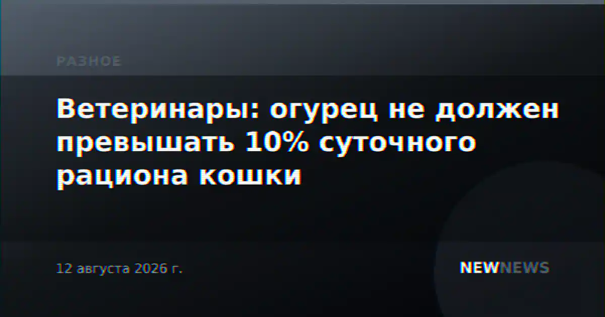 Ветеринары: огурец не должен превышать 10% суточного рациона кошки
