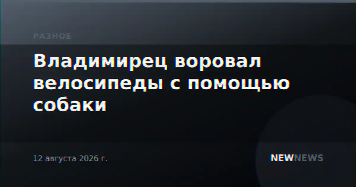 Владимирец воровал велосипеды с помощью собаки