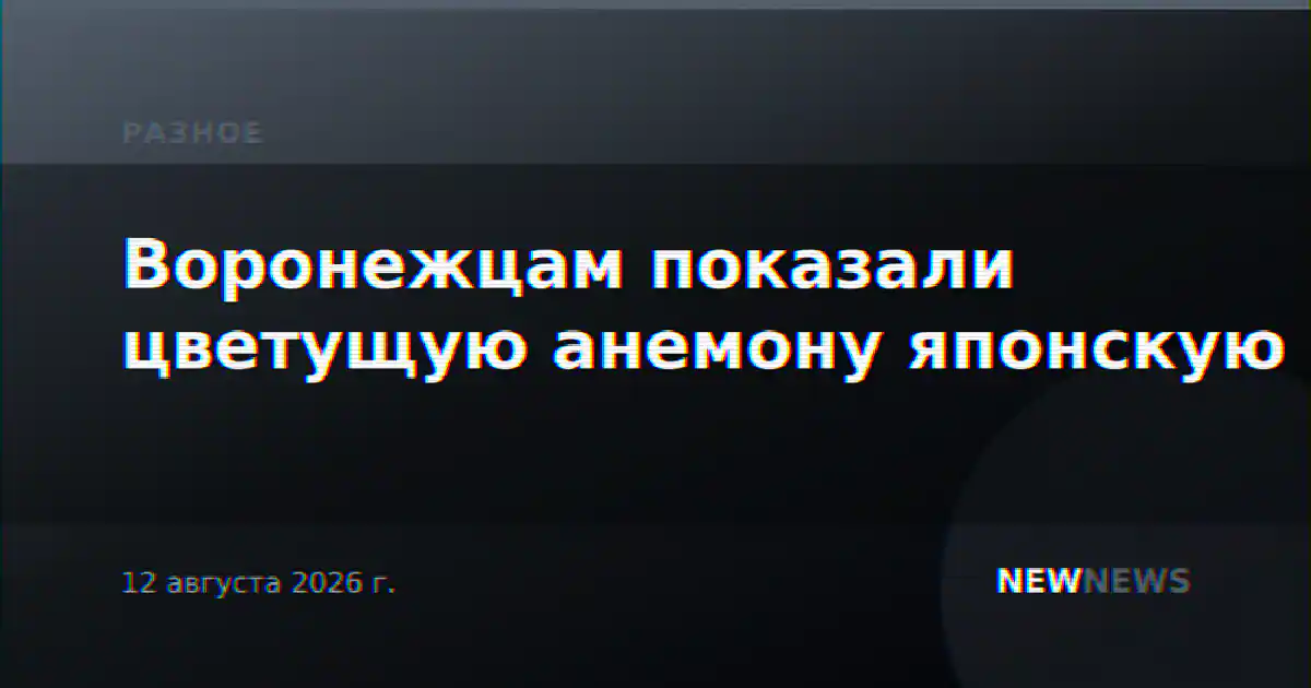 Воронежцам показали цветущую анемону японскую