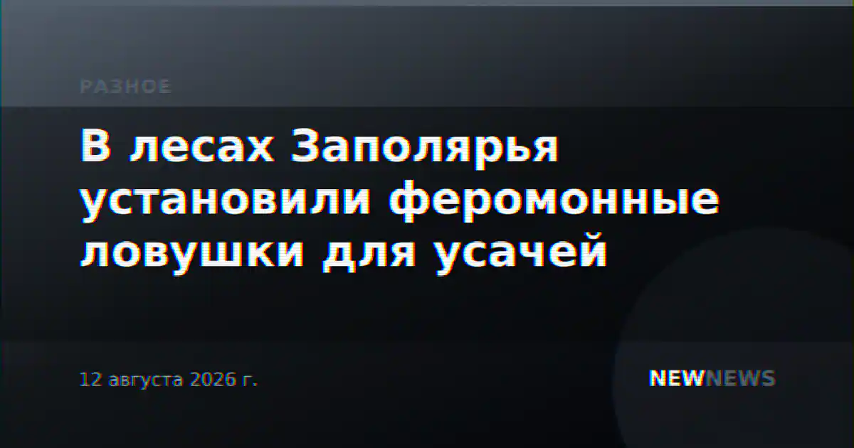 В лесах Заполярья установили феромонные ловушки для усачей