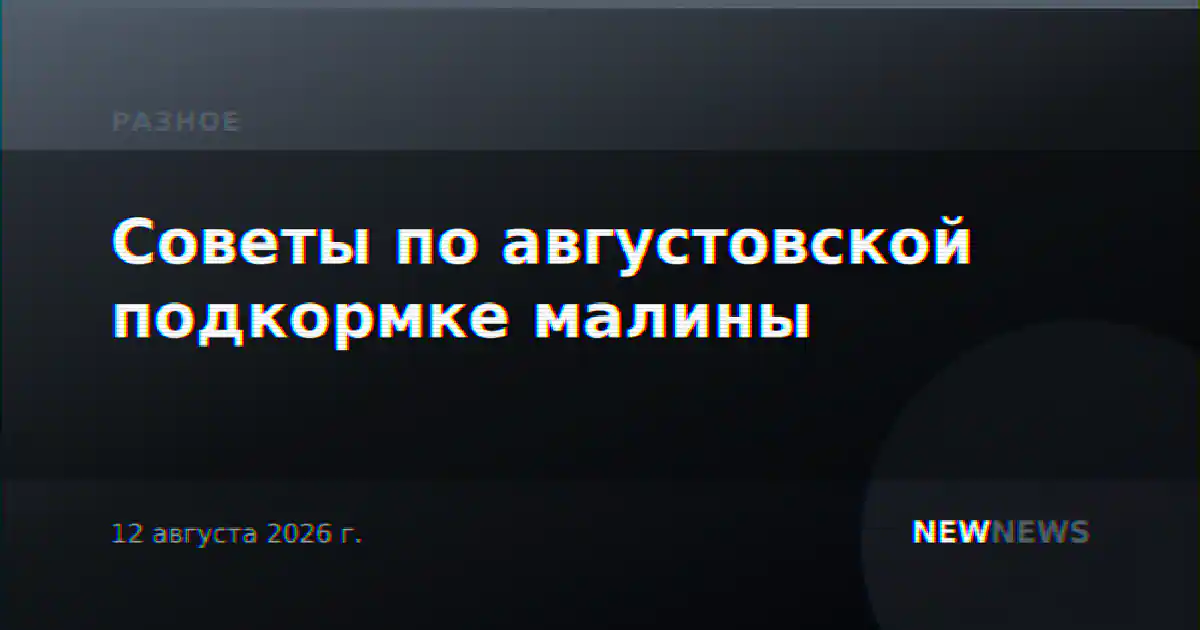 Советы по августовской подкормке малины