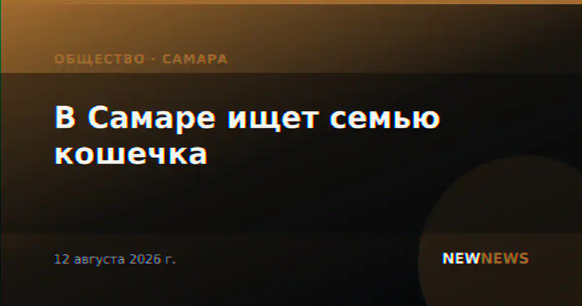 В Самаре ищет семью кошечка