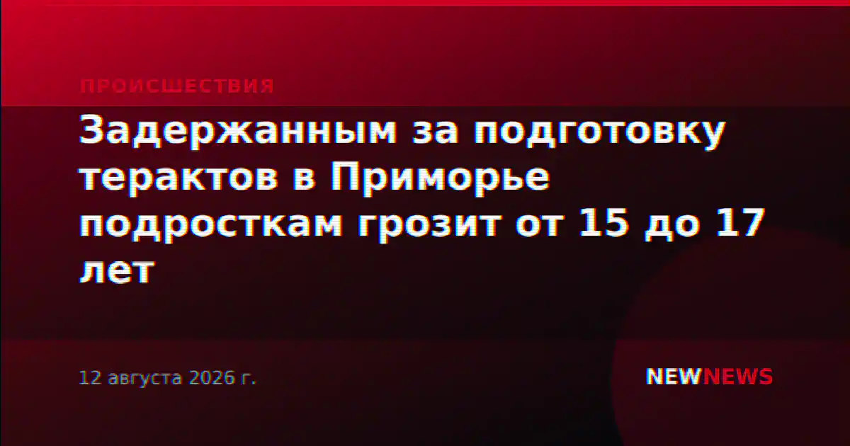 Задержанным за подготовку терактов в Приморье подросткам грозит от 15 до 17 лет