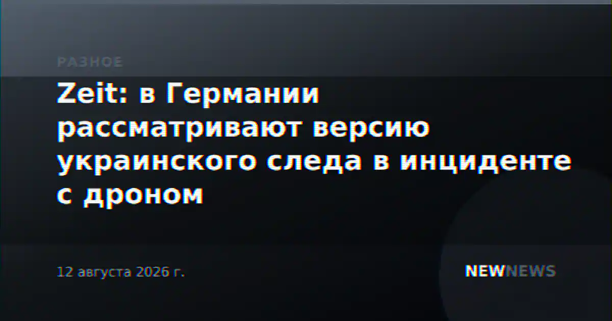 Zeit: в Германии рассматривают версию украинского следа в инциденте с дроном