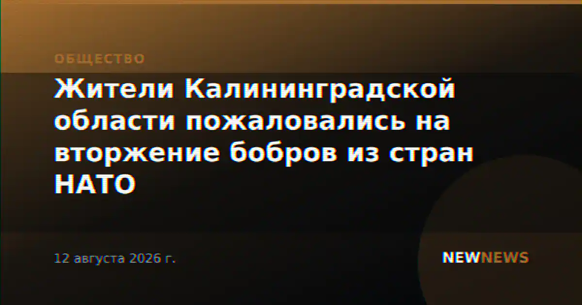 Жители Калининградской области пожаловались на вторжение бобров из стран НАТО