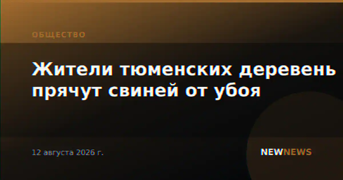 Жители тюменских деревень прячут свиней от убоя
