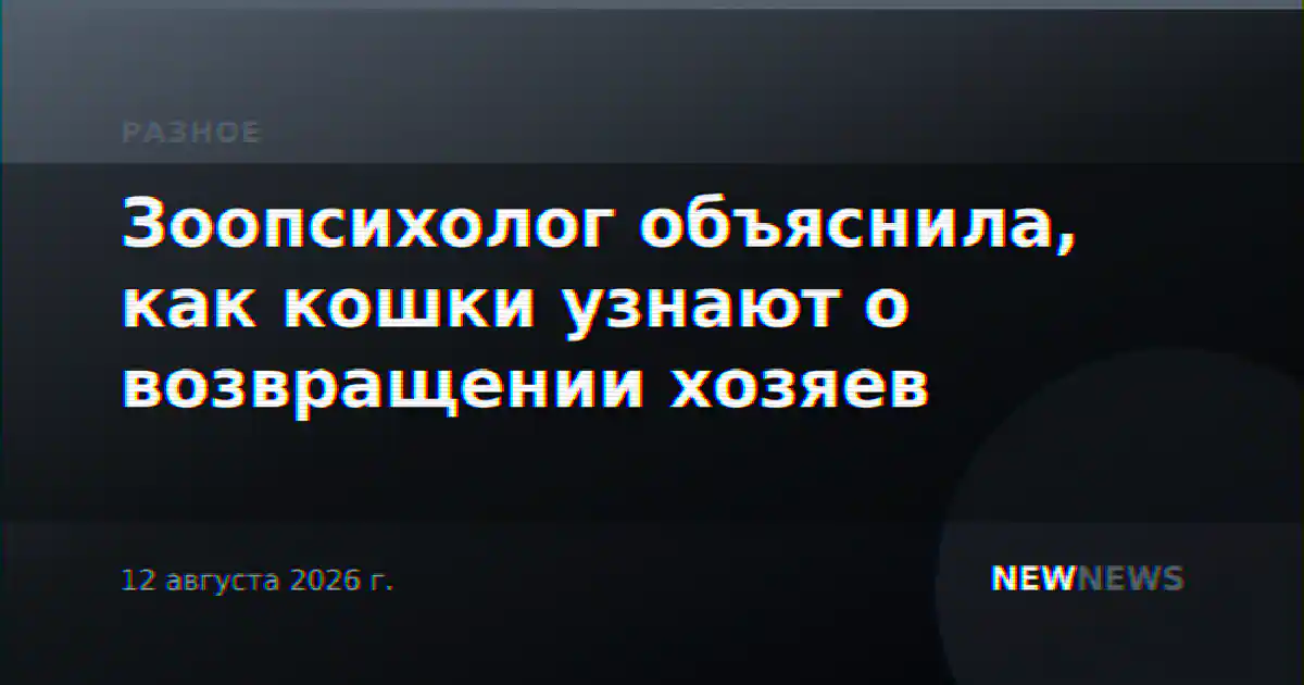 Зоопсихолог объяснила, как кошки узнают о возвращении хозяев