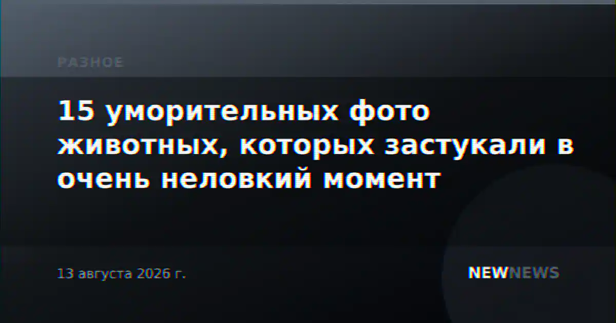 15 уморительных фото животных, которых застукали в очень неловкий момент