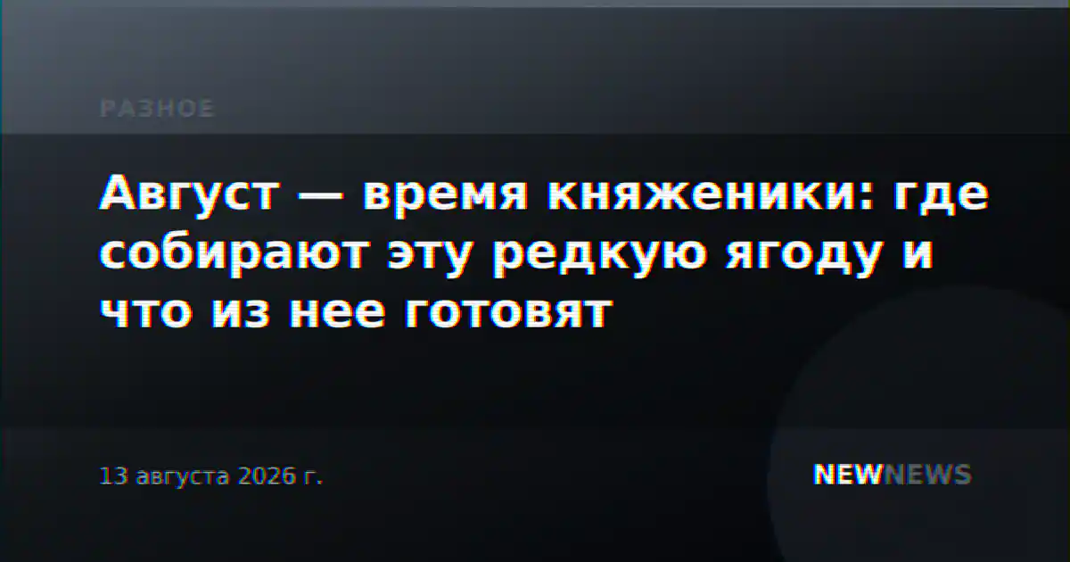 Август — время княженики: где собирают эту редкую ягоду и что из нее готовят