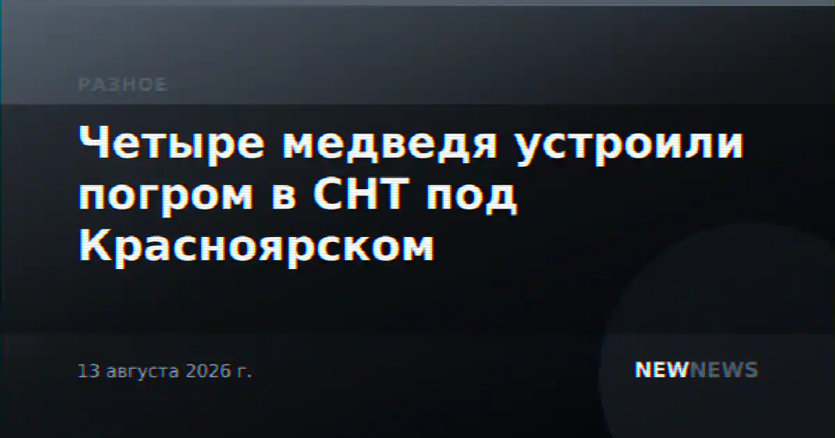 Четыре медведя устроили погром в СНТ под Красноярском