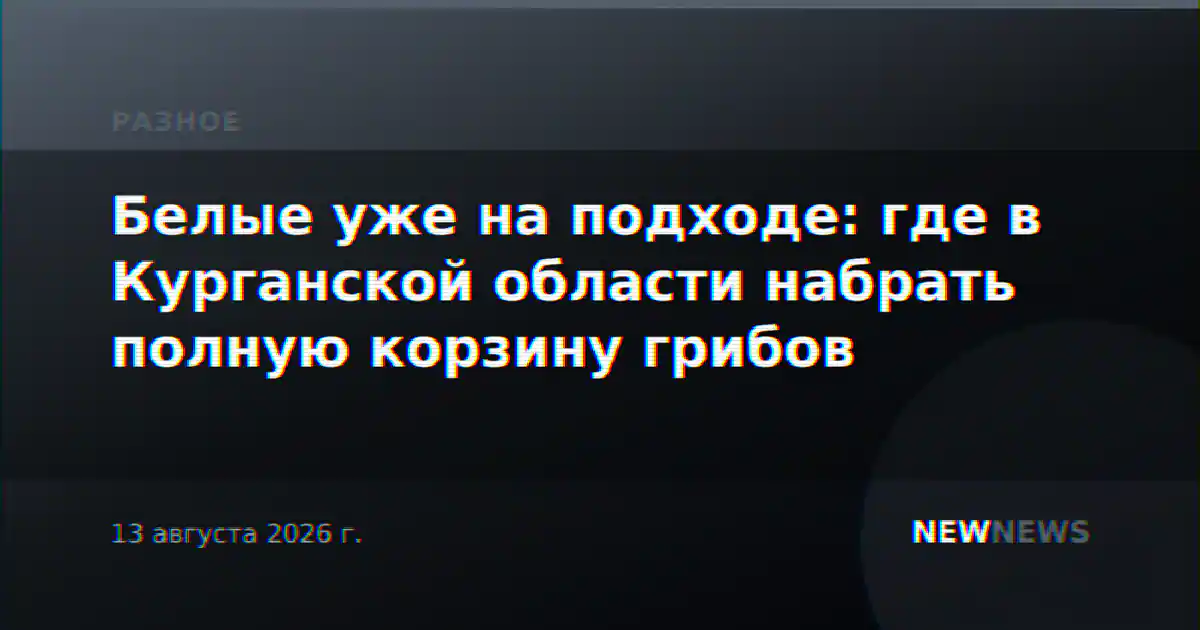 Белые уже на подходе: где в Курганской области набрать полную корзину грибов