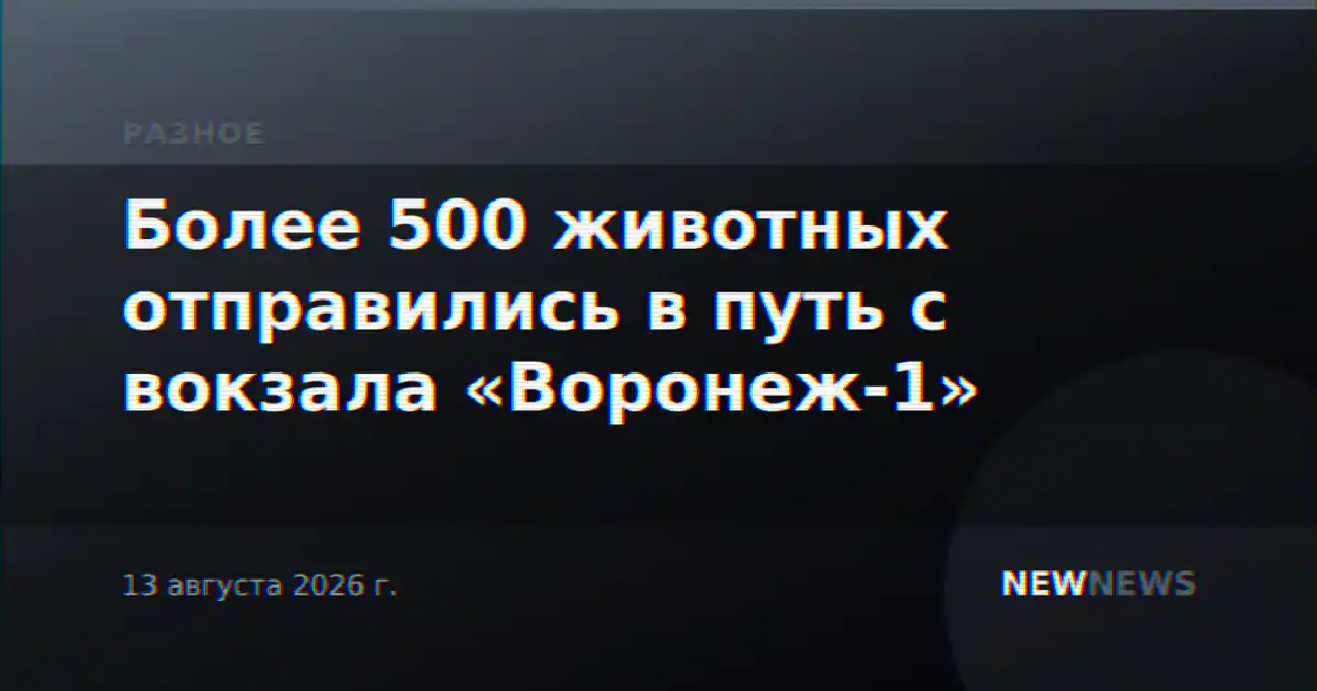 Более 500 животных отправились в путь с вокзала «Воронеж-1»