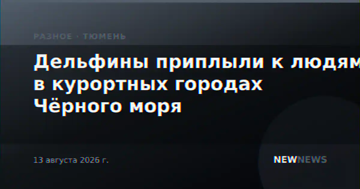 Дельфины приплыли к людям в курортных городах Чёрного моря