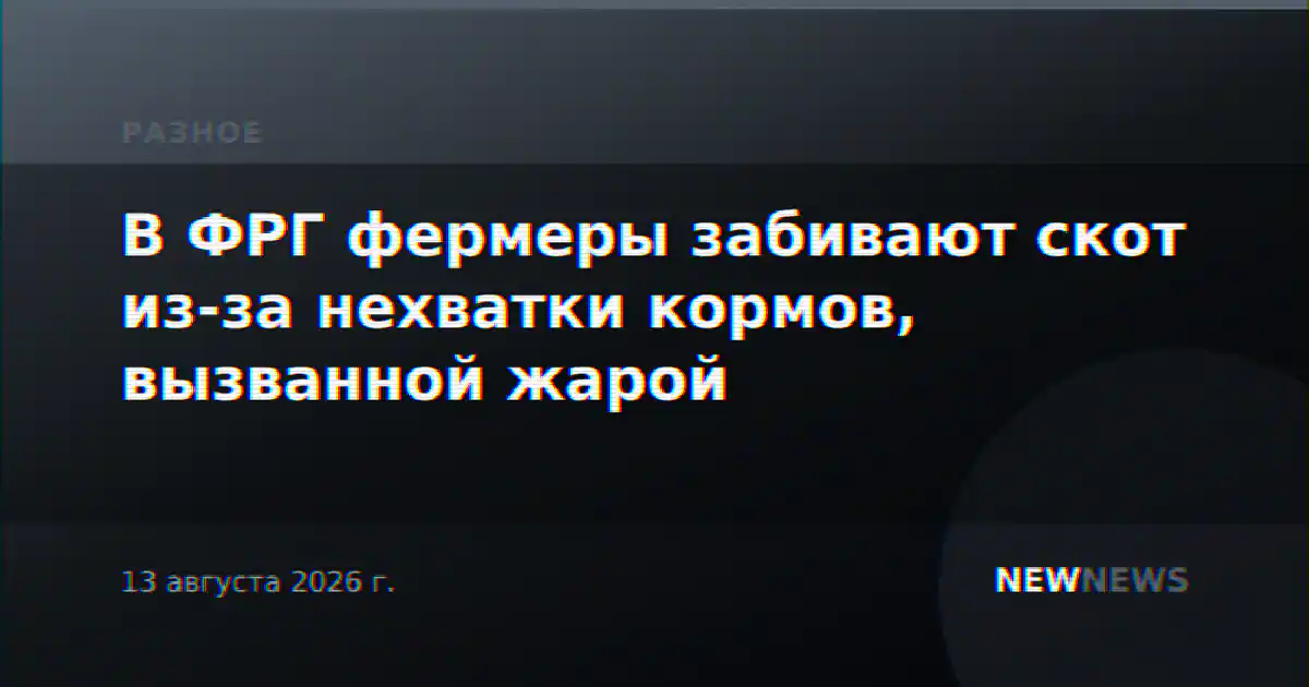 В ФРГ фермеры забивают скот из-за нехватки кормов, вызванной жарой