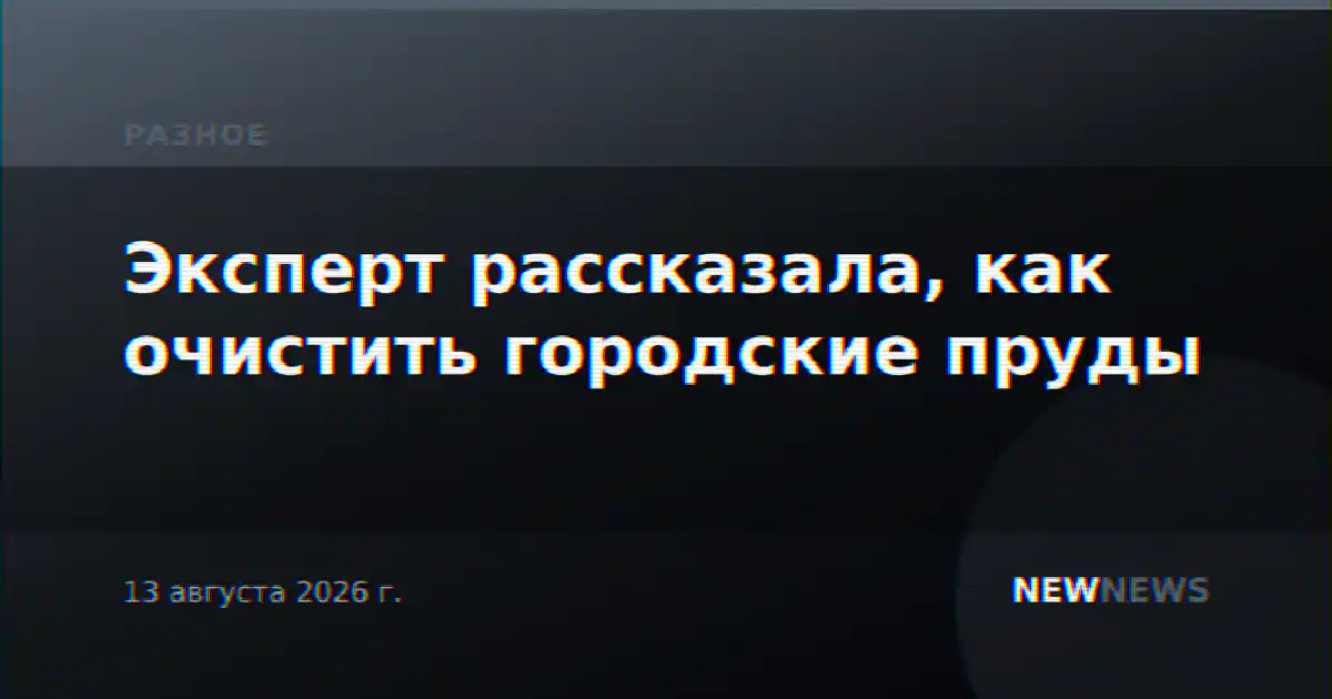 Эксперт рассказала, как очистить городские пруды